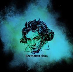 Beethoven Haus Libreria Musicale, Torino orari di apertura