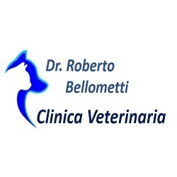 Clinica Veterinaria Bellometti Dr. Roberto, Pontoglio orari di apertura