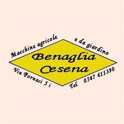 Benaglia SAS Di Benaglia, Cesena orari di apertura