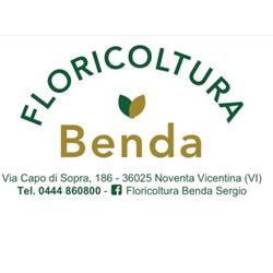 Benda Sergio, Noventa Vicentina orari di apertura
