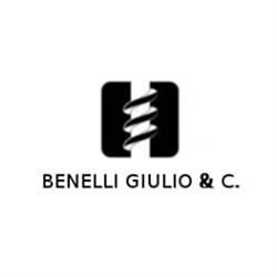 Benelli Giulio, Forlì orari di apertura