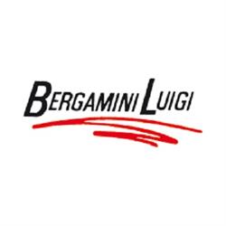 Bergamini Luigi, Medolla orari di apertura