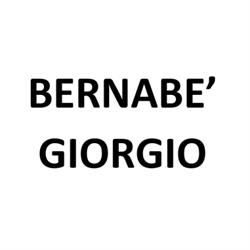 Bernabè Giorgio, Sordio orari di apertura