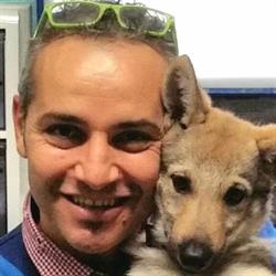 Bernacchia Dr. Stefano Ambulatorio Veterinario, Fano orari di apertura