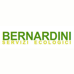 Bernardini Servizi Ecologici, Vecchiano orari di apertura