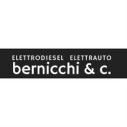 Elettrodiesel Elettrauto Bernicchi e C., Pisa orari di apertura