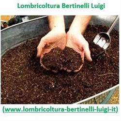 Bertinelli Luigi, Moncalieri orari di apertura