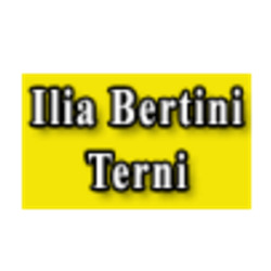Autodemolizioni Bertini Ilia, Terni orari di apertura