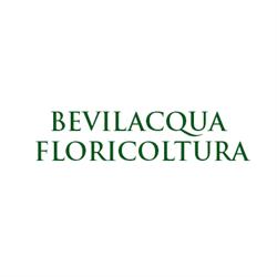 Bevilacqua Floricoltura, Povegliano Veronese orari di apertura
