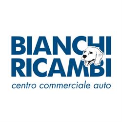 Bianchi Ricambi SRL, Cernusco sul Naviglio orari di apertura