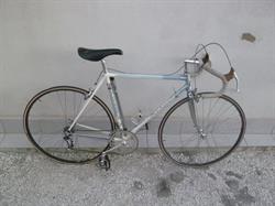 Bianchi Team (S.A.S.), Massarosa orari di apertura