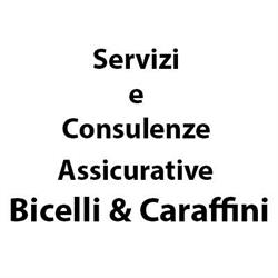 Servizi e Consulenze Assicurative di Bicelli Elisabetta & C. sas, Ghedi orari di apertura