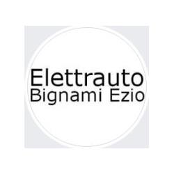 Elettrauto Bignami, Castiglione Torinese orari di apertura