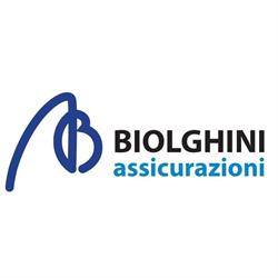 Biolghini Assicurazioni SAS Di Biolghini A. e P., Lovere orari di apertura