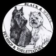Black e White Toelettatura, Lissone orari di apertura