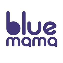Blue Mama, Pisa orari di apertura