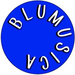 Blumusica Service, Torino orari di apertura