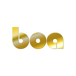 Boa - Fonderia Bronzo, Montichiari orari di apertura