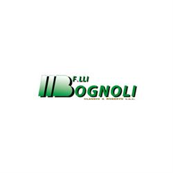 Bognoli F.lli Claudio E Roberto (s.n.c.), Castelnuovo del Garda orari di apertura