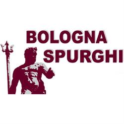 Bologna Spurghi, Anzola dell'Emilia orari di apertura