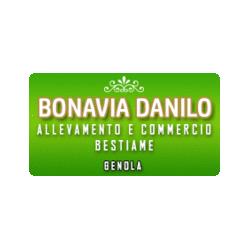 Bonavia Danilo, Genola orari di apertura