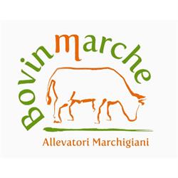 Macelleria Bondi Enrico, Pesaro orari di apertura