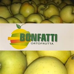 Bonfatti, San Daniele Po orari di apertura