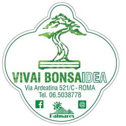 Bonsaidea Srl, Roma orari di apertura