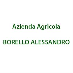 Azienda Agricola Borello Alessandro, Villanovetta orari di apertura