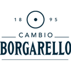 Cambio Borgarello, Torino orari di apertura