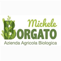 Borgato Michele, Saonara orari di apertura