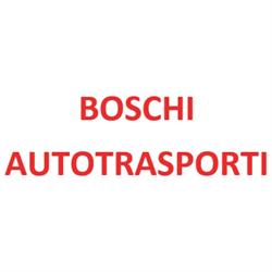 Boschi Autotrasporti, Bozzolo orari di apertura