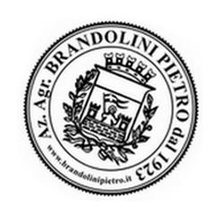 Brandolini Pietro, San Damiano al Colle orari di apertura