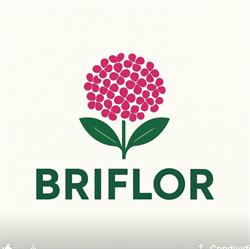 Briflor Di Briganti Marcello, Taviano orari di apertura