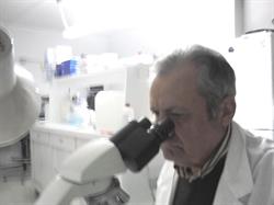 Verzicco SRL, San Ferdinando di Puglia orari di apertura