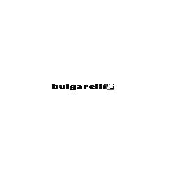 Bulgarelli, Castenaso orari di apertura