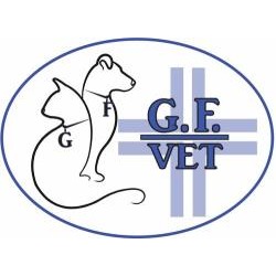 GF Vet ambulatorio veterinario, Marigliano orari di apertura