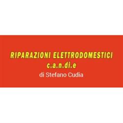 Centro Assistenza Elettrodomestici Cudia, Pisa orari di apertura