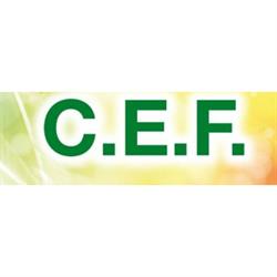 C.E.F. srl, Almenno San Salvatore orari di apertura