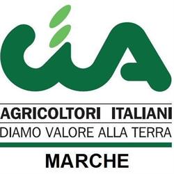 C.i.a. Service SRL, Ancona orari di apertura