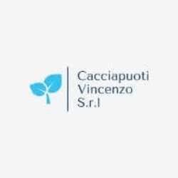 Cacciapuoti Vincenzo, Qualiano orari di apertura
