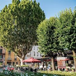Caffè Torino, Canelli orari di apertura