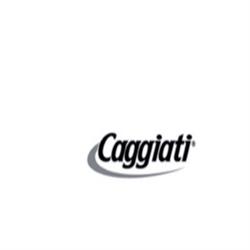 Caggiati Spa, Colorno orari di apertura