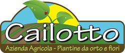 Cailotto Antonio, Zevio orari di apertura