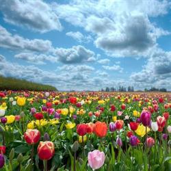 Floricoltura Zanella, Malo orari di apertura