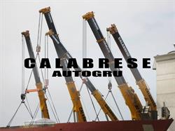 Calabrese Autogru SRL, Torino orari di apertura