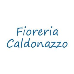 Fioreria Caldonazzo, Lonigo orari di apertura