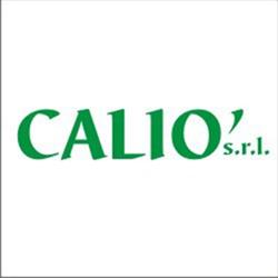 Autoricambi Calio', Catanzaro orari di apertura