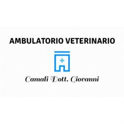 Ambulatorio Veterinario Camali Dr. Giovanni, Venezia orari di apertura