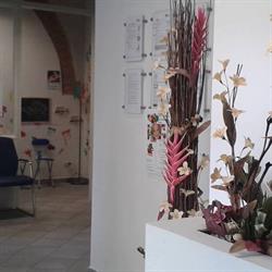 Cambi Dr. Stefano Odontoiatra, Borgo San Lorenzo orari di apertura